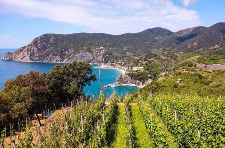 Casa del Pescatore Monterosso al Mare Esterno foto